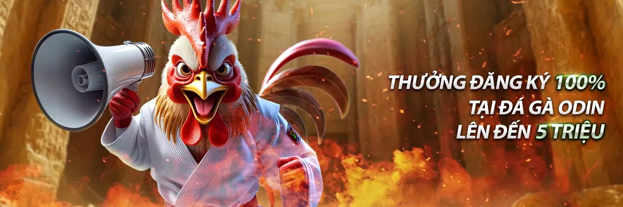 Đá gà trực tuyến 09tr88